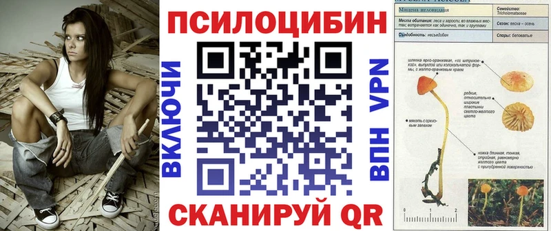 Псилоцибиновые грибы ЛСД  где купить наркотик  Гурьевск 