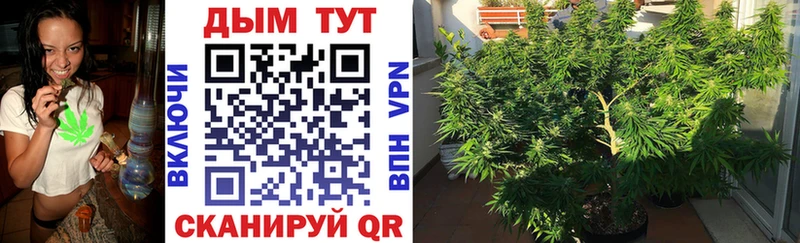 Шишки марихуана Amnesia  hydra сайт  Гурьевск 
